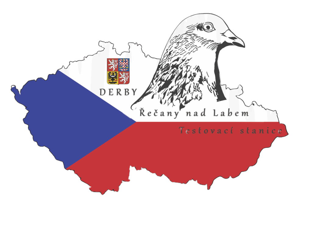 testovací stanice poštovních holubů